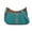 Green, variant on MEITRUE Crossbody Bags for Women Trendy, Women's Purse lightweight Retro Style Shoulder Bag - VIOLET BLUE