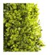 thumbnail image 3 of Arbusto Artificial Mainstays Forma Triangular con Maceta y Luz LED, 3 of 4