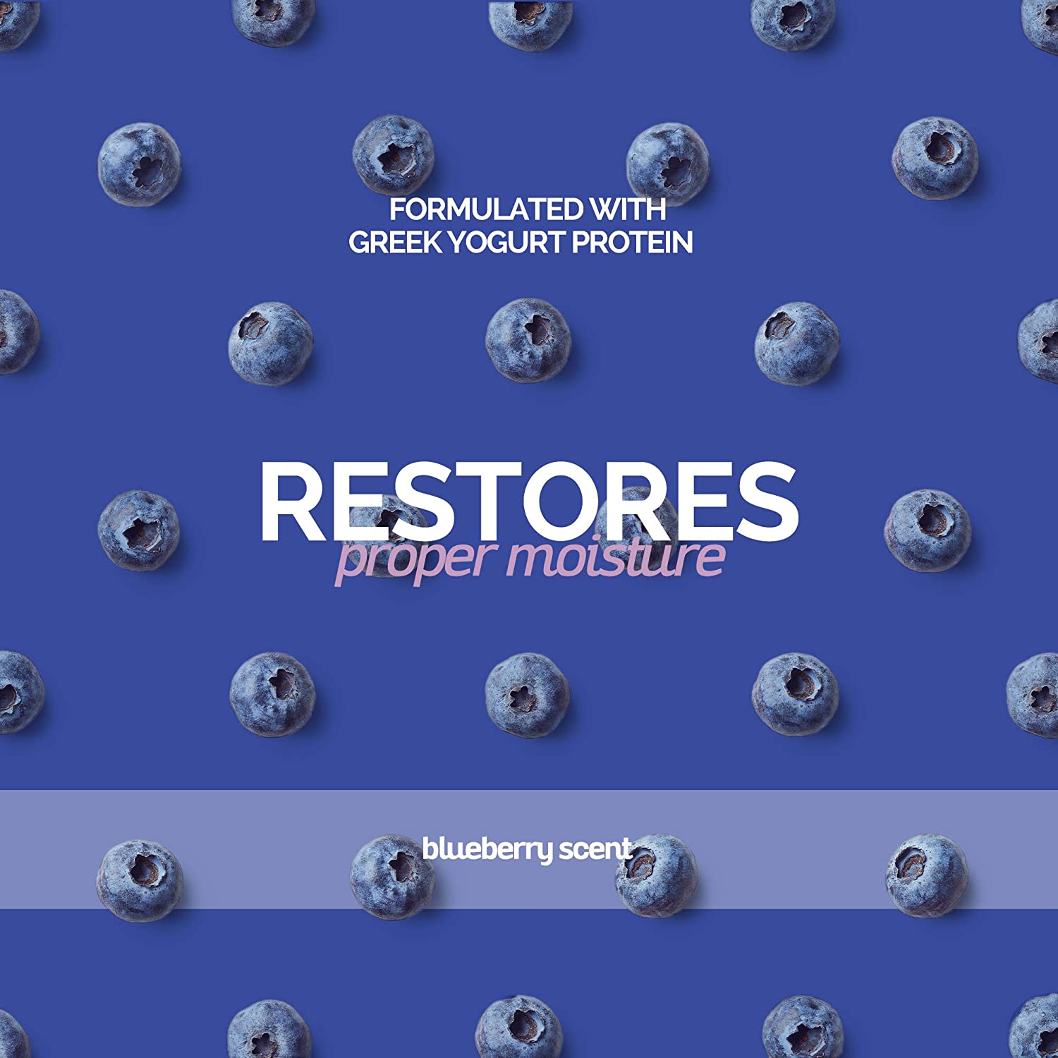 Buy Bark2Basics Blueberry Greek Yogurt Dog Shampoo, 1 Gallon Natural