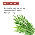 thumbnail image 6 of Karma Naturals Hair Darkening Shampoo Bar with Green Tea - 100% Natural Organic Conditioner Repair Hair Care, 6 of 9