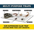 thumbnail image 5 of Extra Large Cricket Traps (8 Traps) | Non-Toxic Sticky Glue Board Pre-Baited Attractant Trap & Kill House Crickets, Insects, Spiders, Bugs, 5 of 5