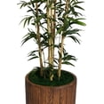thumbnail image 3 of Vintage Home by Vintage Home 77-in Tall Natural Bamboo Tree in 16-in Fiberstone Planter 36L 36W 77H, 3 of 3