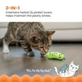 thumbnail image 2 of Catstages Crunchy Pickle Kicker Dental Catnip Cat Toy, 2 of 8