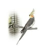 K&H Pet Products Thermo-Perch Bird Perch, Small, Gray
