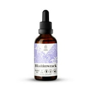 Bladderwrack Extract, Natural Herbal Supplement for Thyroid Function Support, Bladderwrack (Fucus vesiculosus) Dried Plant Tincture, Alcohol-Free, Drops 2 oz