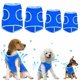 thumbnail image 2 of Chaleco de refrigeración para perros, ropa transpirable, abrigo de refrigeración para mascotas, chaqueta enfriadora para cachorros, ropa fresca para perros pequeños, medianos y grandes, Verano, 2 of 3