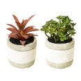 thumbnail image 1 of 2 uds simulación de plantas suculentas en macetas adornos creativos macetas de cemento de dos colores flores artificiales y plantas verdes, 1 of 5