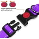 thumbnail image 2 of Collar reflectante para perros acolchado con neopreno suave y transpirable. Collares ajustables de nailon para perros pequeños, medianos y grandes. 28*38, 2 of 5