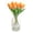 Y, variant on Hgoty 10 Real-Touch PU Tulips + Glass Vase Set - Complete Spring Bouquet Gift for Mother's Day, Weddings & Home Decor