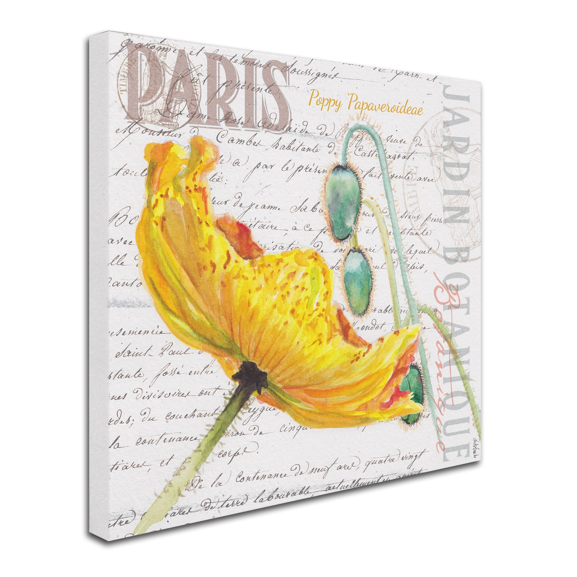 Trademark Fine Art "Paris Botanique Yellow Poppy" Canvas Art by Jennifer Redstreake