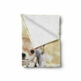 thumbnail image 2 of Chihuahua Soft Flannel Fleece Throw Blanket, Funny Photo of Sassy Fashion Dog Sitting in Its Small Bed with Pearl Necklace, Cozy Plush for Indoor and Outdoor Use, 50" x 70", Multicolor, by Ambesonne, 2 of 6