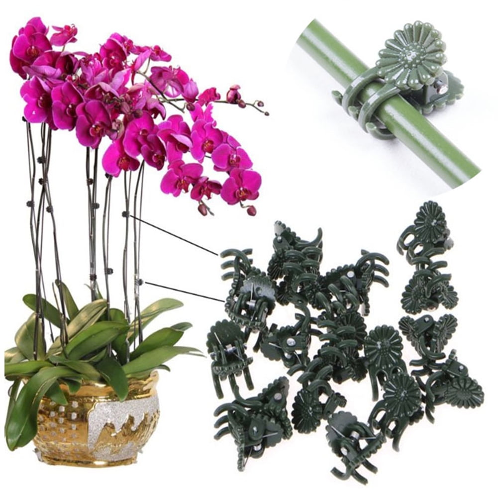 40 Pcs Amaoma Plastic Orchids Clip,Plant Support Clips Flowers Spike Clips for Supporting Stems Stalks Vines Grow Upright