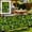 A, variant on Retractable Leaf Fence, Artificial Hedge Expandable Privacy Screen Panel, Decorative Green Wall for Balcony Outdoor Use, Ideal for Patio, Garden & Backyard Privacy Screening