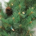 thumbnail image 3 of Northlight 48" Pre-Lit Royal Oregon Pine Artificial Christmas Wreath - Clear Lights, 3 of 4