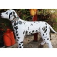 thumbnail image 5 of Medium 17''- 21'' Dog Puppy Collar Genuine Cow Leather Padded Canine  60103, 5 of 5