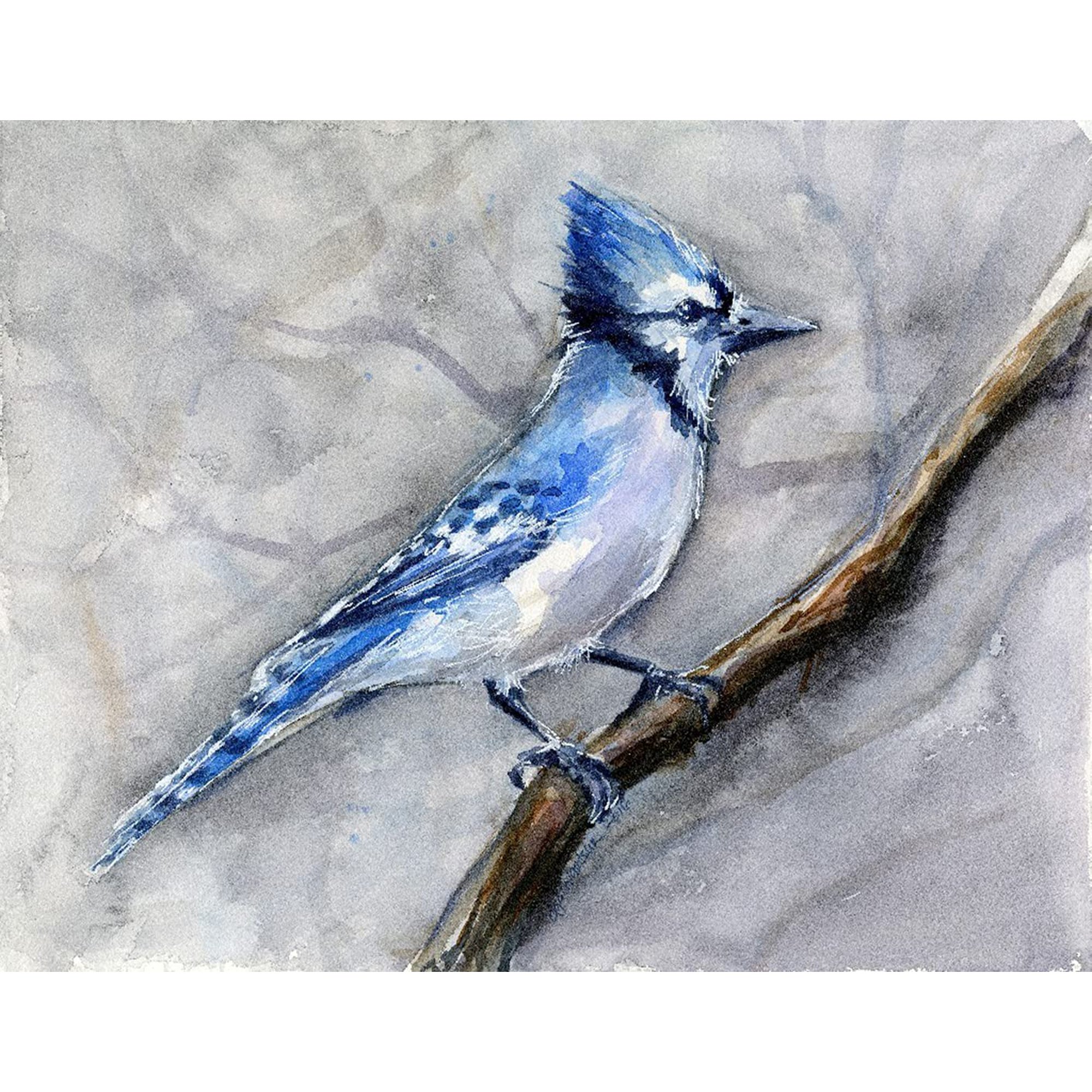 5d Diamond Painting By Number Kits Animal Blue Bird Birds Painting Jay Blue Jay Animals Watercolor Diamonds Arts For Adults Full Drill Canvas Picture For Home Wall Decor 30x40cm 12x16inch Walmart Canada