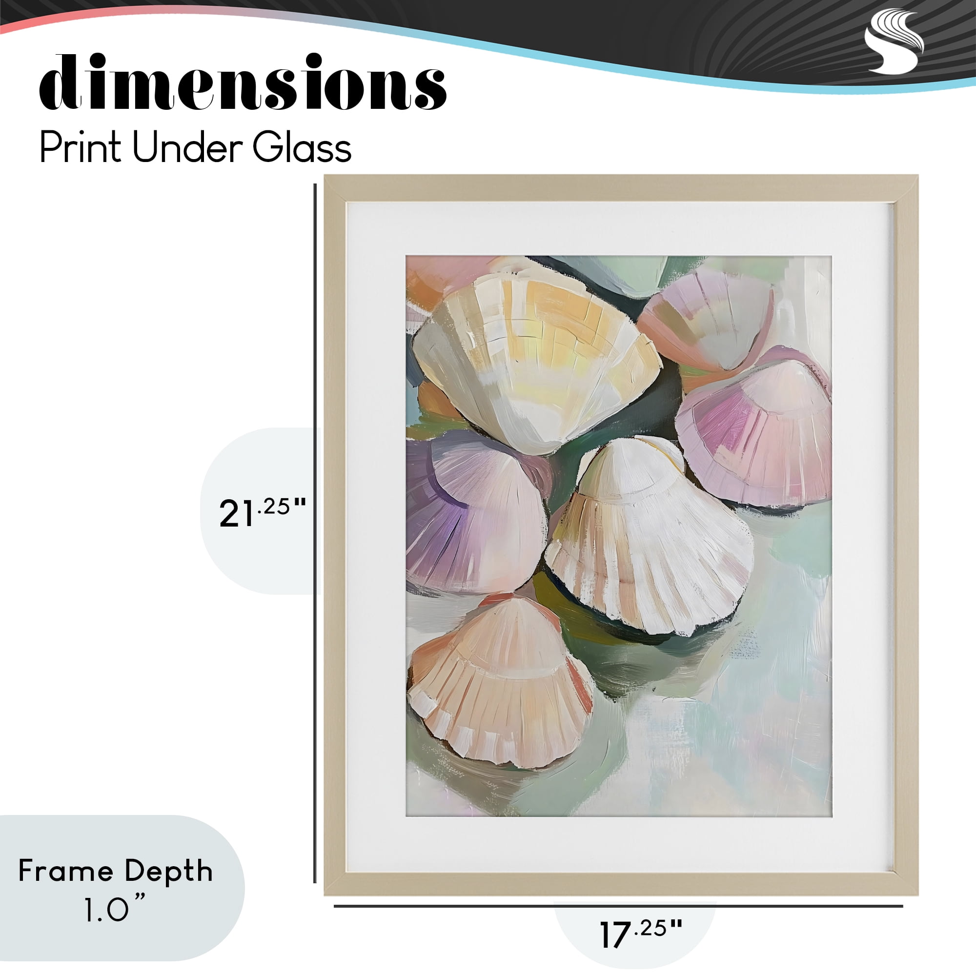 Stupell Industries Pink Seashells Marine Collection Birch Framed Print Under Glass, design by The Prints Vibe