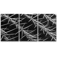thumbnail image 3 of PixonSign Canvas Print Wall Art Set Close-up of Cactus Barbs Floral Wilderness Photography Realism Southwest Group Dramatic Grey Dark Black and White for Living Room, Bedroom, Office - 16"x24"x3, 3 of 5