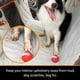 thumbnail image 5 of Cubierta impermeable para asiento de perro iBuddy para camionetas y SUV, 5 of 7