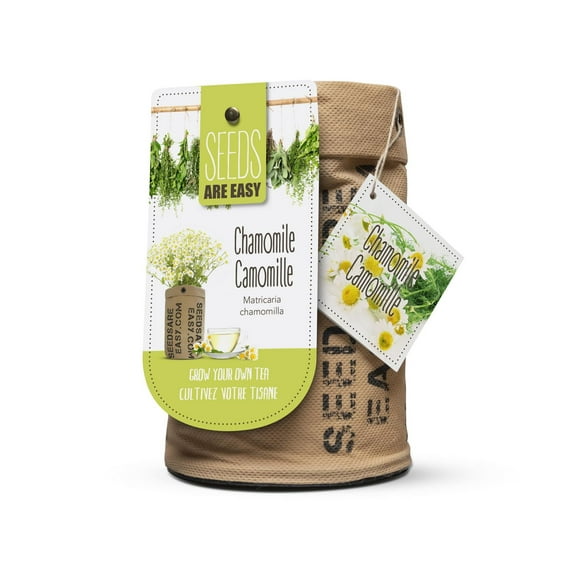 Seeds are Easy - Chamomile Tea