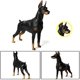 thumbnail image 3 of Figura de perro simulado YONGSHENG Doberman amarillo, 3 of 4