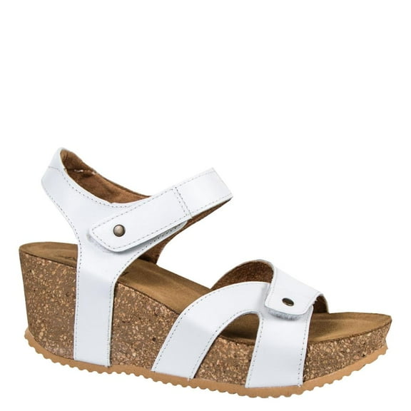 axxiom wedges
