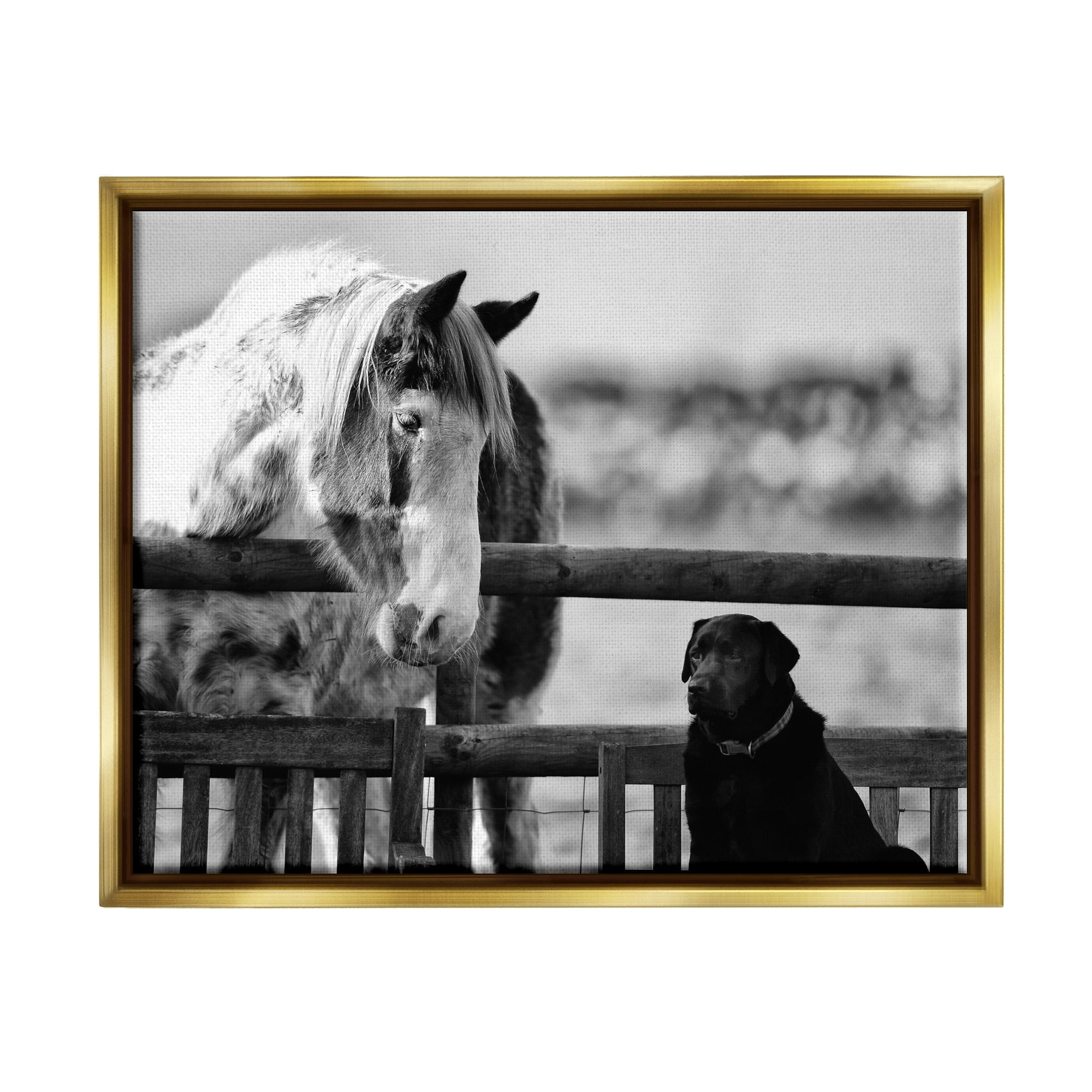 Stupell Industries Dog & Horse Farm Animal Friends Monochrome Photography Photograph Metallic Gold Floating Framed Canvas Print Wall Art, Design by James Dobson