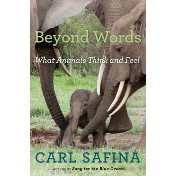 Pre-Owned Beyond Words: What Animals Think and Feel (Hardcover) 0805098887 9780805098884
