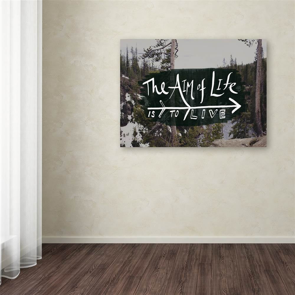 Trademark Fine Art "The Aim of Life" Canvas Art by Leah Flores