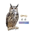 thumbnail image 1 of Fake Owl Decoration Realistic Fake Owl Statue Decoy for Rooftops Patio Yard A, 1 of 6