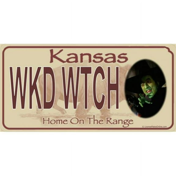 212 Main LPO393 Wicked Witch Kansas Photo License Plate