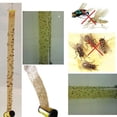 thumbnail image 5 of Cintas Adhesivas para Moscas Hugtrwg 40 Uds Papel para Insectos, 5 of 5