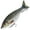 Bait-4, variant on 7 Inch 82g Glide Bait 2-Piece Jointed Swimbait Sinking Saltwater Hard Bait for Giant Bass Pike Musky Big Monster Fish