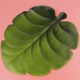 thumbnail image 3 of Hojas de Monstera artificiales Hojas tropical Posavasos de hojas Manteles individuales Luau Decoraciones para bodas segundo Gloria Monstera Leaf Coasters, 3 of 9