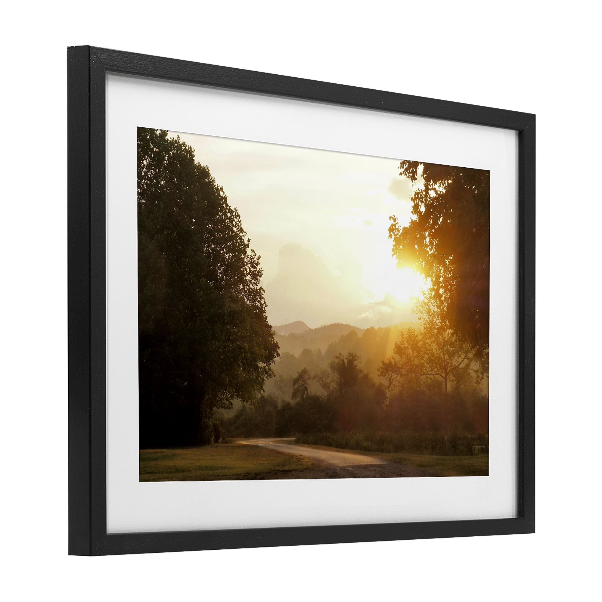 Stupell Industries Golden Morning Between Trees Black Framed Print Under Glass, design by Gail Peck