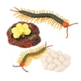 thumbnail image 2 of Ciempiés de plástico realista Sunnimix Juego educativo de biología ciclo de 4, 2 of 8