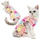 thumbnail image 5 of Perro Traje de Recuperación Onesie Después de Mascotas Esterilizadas Camisa para Perros Machos Gatos Quirúrgico Postoperatorio Snuggly Chaleco para Heridas Abdominales Destete Lamer Chaleco, 5 of 6