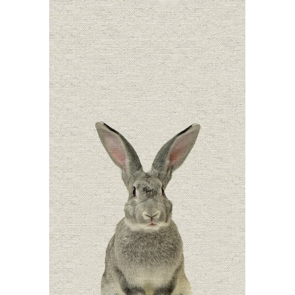 Marmont Hill Mh-Pekabo-8886-Cdl-24 24" X 16"