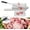 Model-5, variant on Miumaeov 16 inch Guillotine Machine Manual Meat Bone Cutter Rib Slicer Heavy Duty Chicken Cutting Machine for Beef Goat Pig Fish Butcher Commercial Kitchen