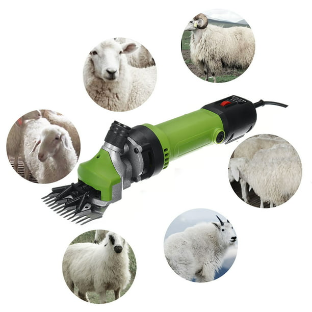 1200W Electric Sheep Shears, Portable Sheep Clipper with 6 Speed,Electric  Goat Shears for Sheep Goat Llama Horse Alpacas Thick Coat and Heavy Duty 