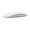 Green, variant on Restored Apple Magic Mouse 2, Wireless Rechargeable, Blue (Refurbished)