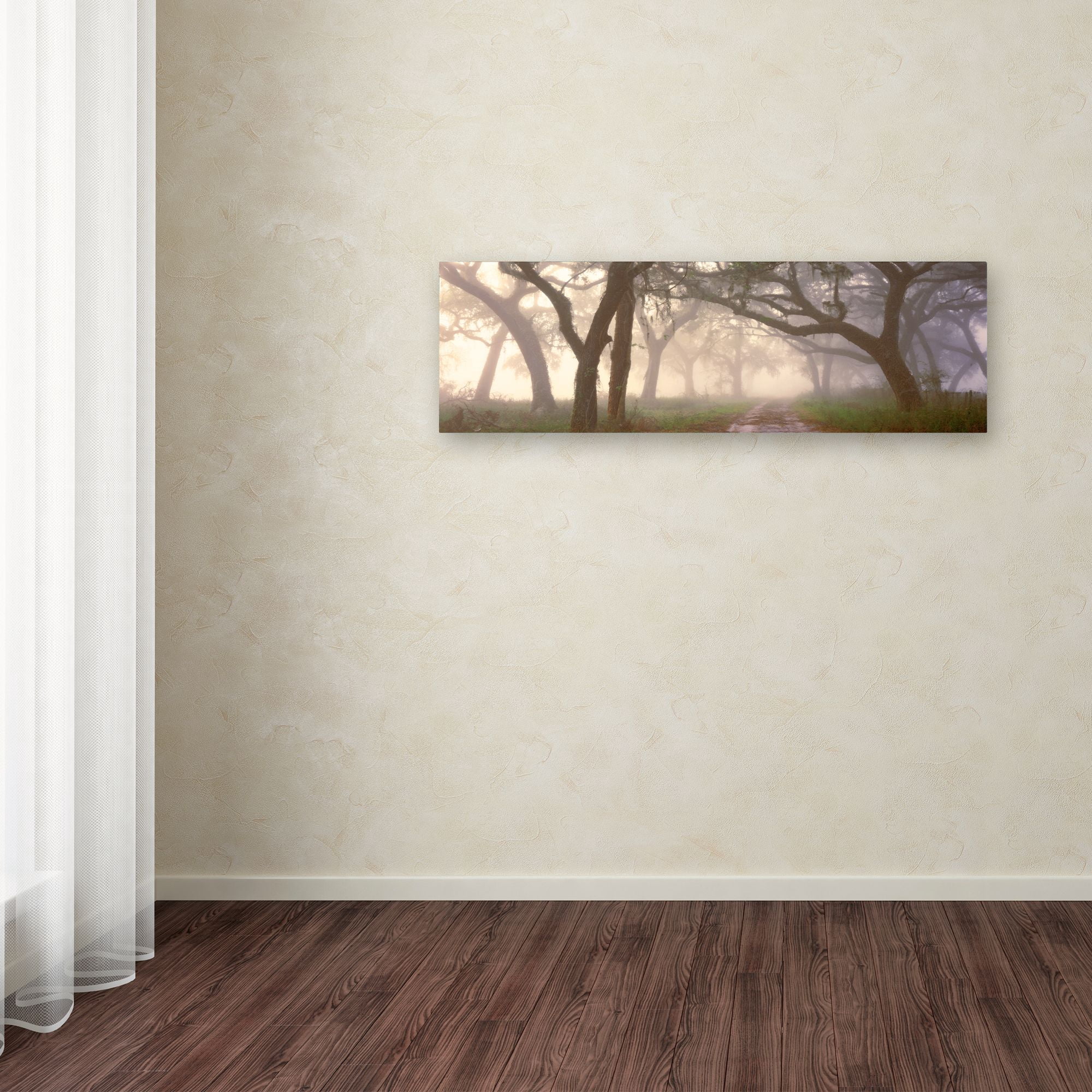 Trademark Fine Art 'Dawns Early Light' Canvas Art by Doug Cavanah