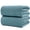 Green, variant on 430 GSM Poly Blend Microfiber Waffle Bath Sheet XL Set, 35x70 in | 2 Pack, Oversize, Lint Free, Quick Dry