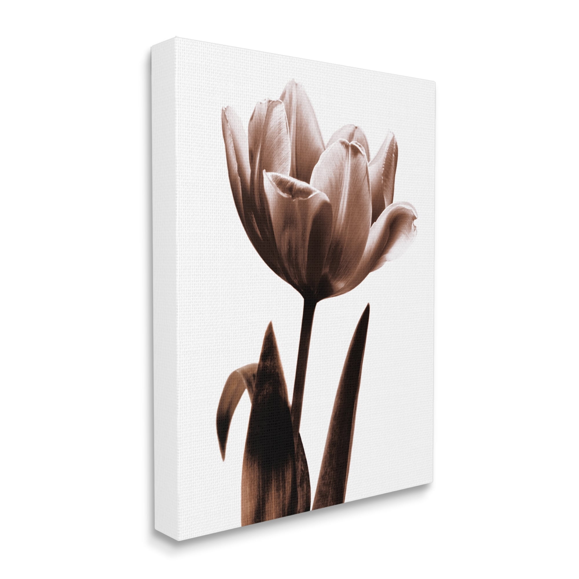 Stupell Blooming Tulip Silhouette Botanical & Floral Photography Gallery Wrapped Canvas Print Wall Art