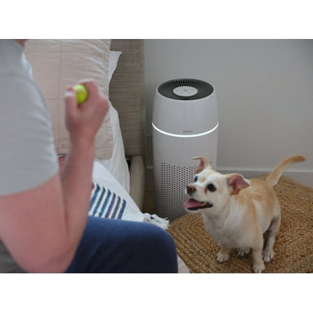 Homedics - PetPlus True Hepa Air Purifier for Large Rooms - White