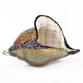 thumbnail image 1 of 9" Multi-Color Large Conch Shell Art Glass, 1 of 3