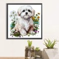 thumbnail image 2 of Pintura de diamante 5D DIY taladro redondo completo Bichon Frise decoración del hogar Art40x40cm, 2 of 9