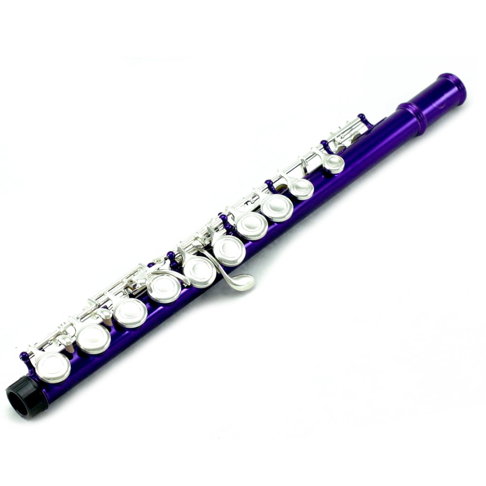 Sky C Flute with Lightweight Case, Cleaning Rod, Cloth, Joint Grease and Screw Driver - Blue/Silver Closed Hole