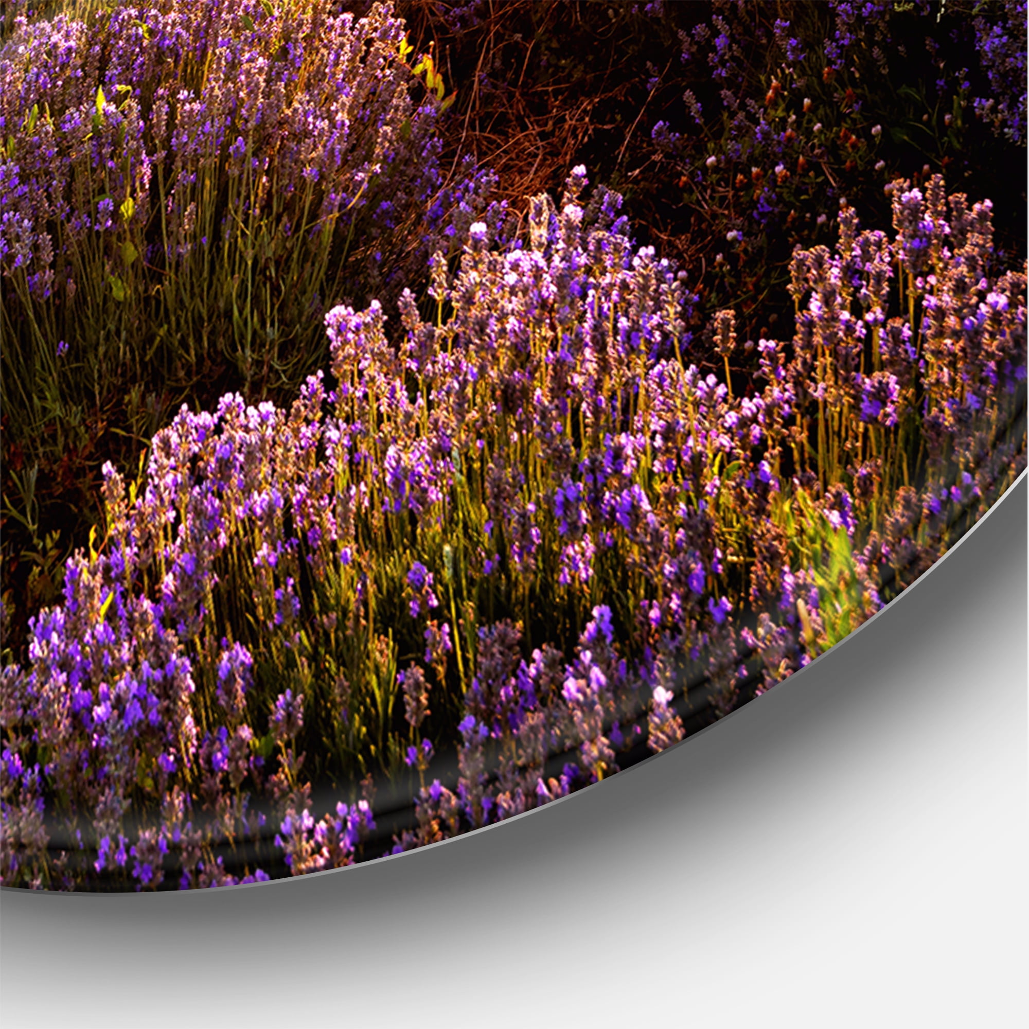 Designart 'Dramatic Clouds and Sunrise Over Lavender Field V' Farmhouse Circle Metal Wall Art 11x11 - Disc of 11