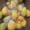 No color Slow color change, variant on Dragon Fruit Squeeze Toy, Soft Slow Rising Stress Relief Squeeze Fruit Toy, Giant Dragonfruit Jumbo for Adults Stress Toy Balls